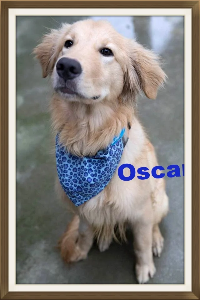 Oscar