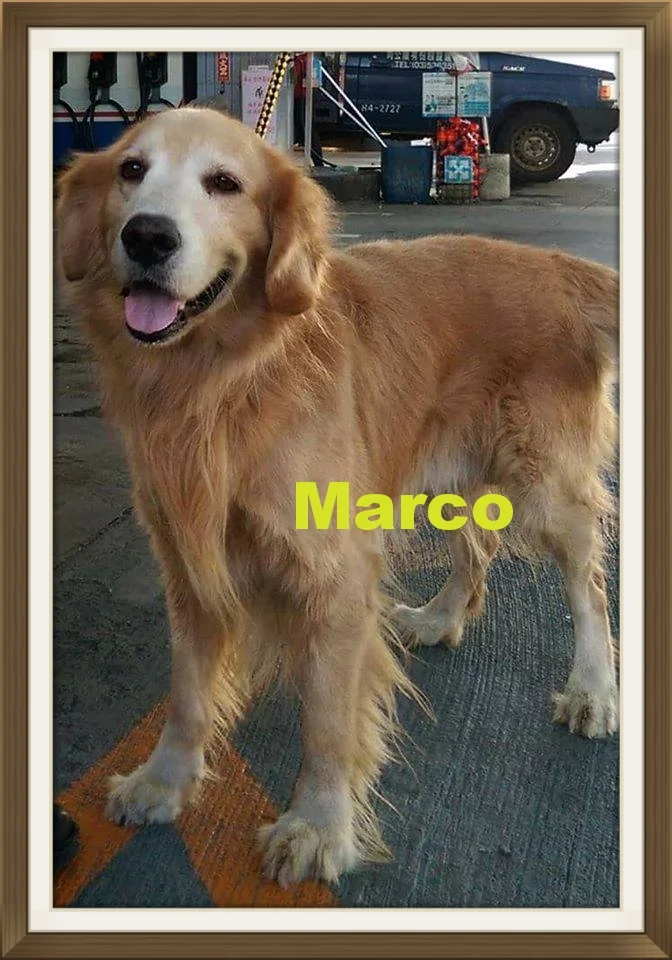 Marco-1.jpg