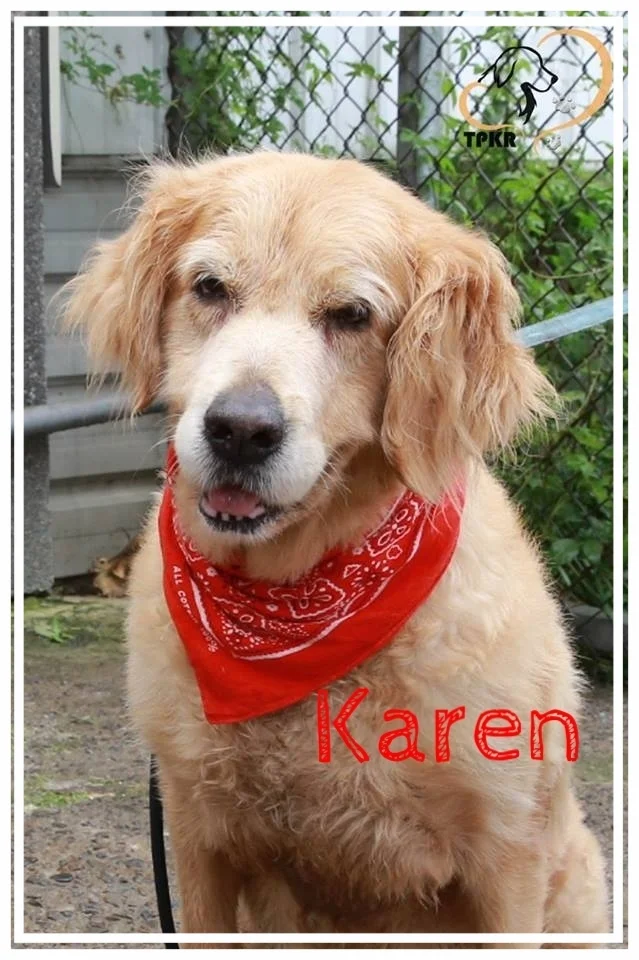 karen-1.jpg