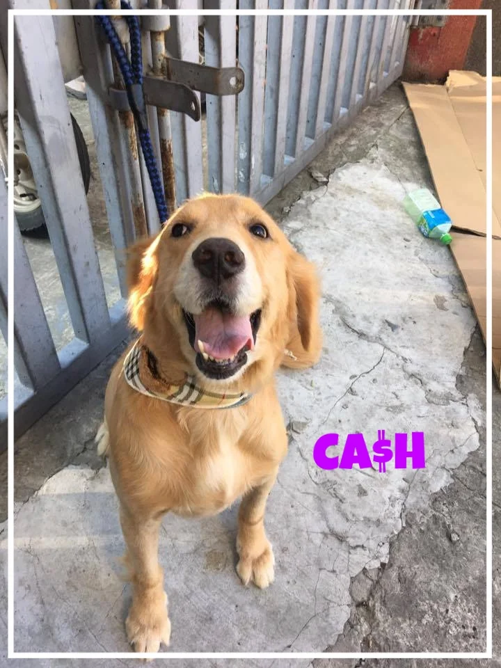 Cash-1.jpg