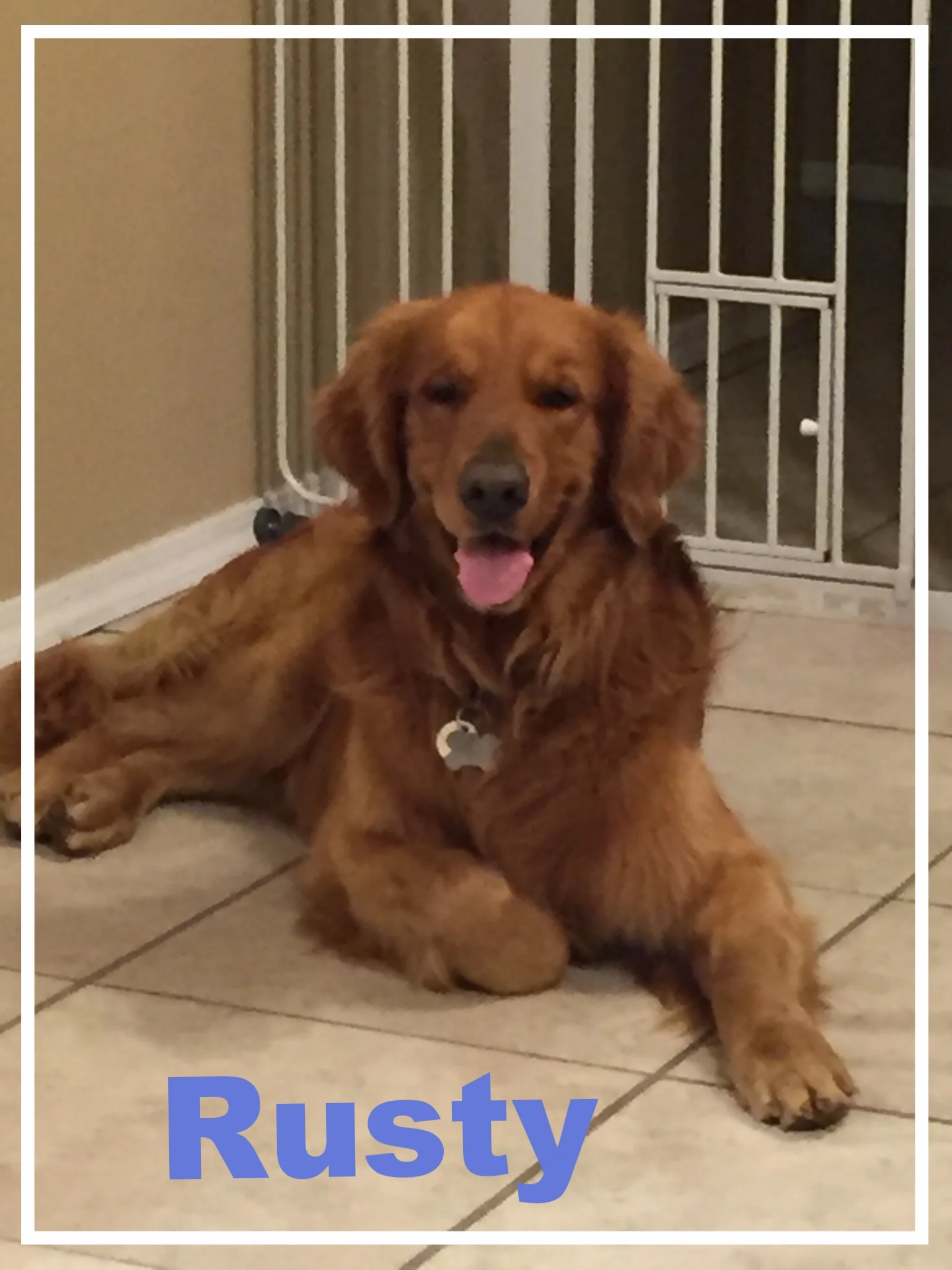 Rusty-1.jpg