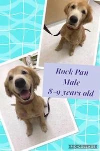 rock_pan.jpg