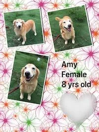 Amy.jpg