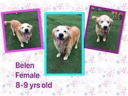 belen.jpg