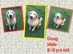 doug.jpg