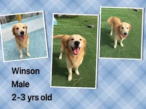 Winson.jpg