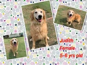 Judith.jpg