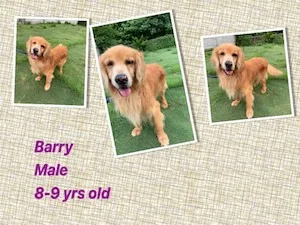 Barry.jpg