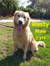 rusty-2.jpg