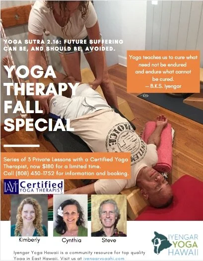 Fall Therapy Special.jpg