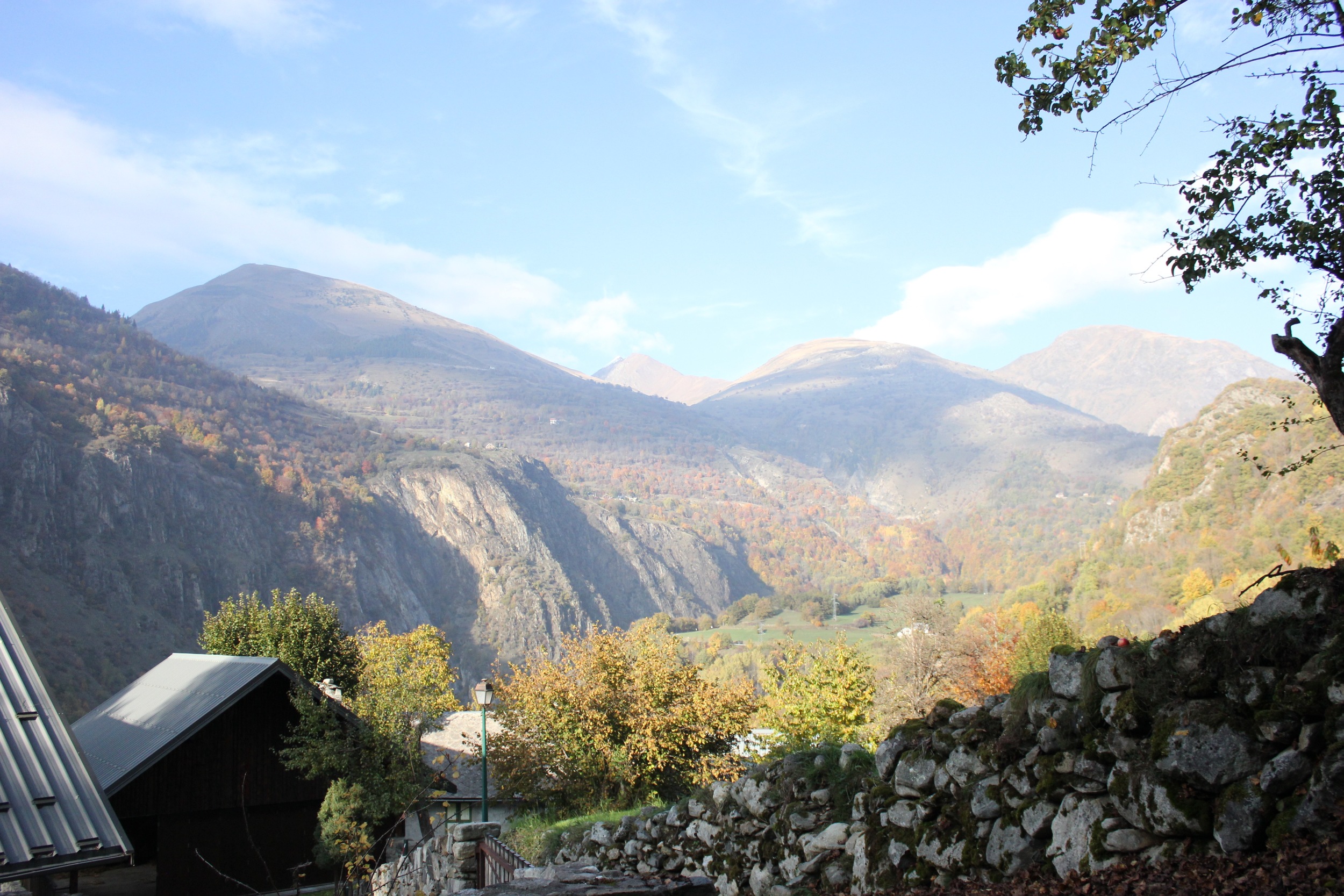IMG_1336.jpg