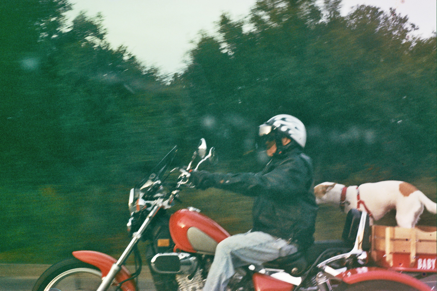 _5A_0006.jpg