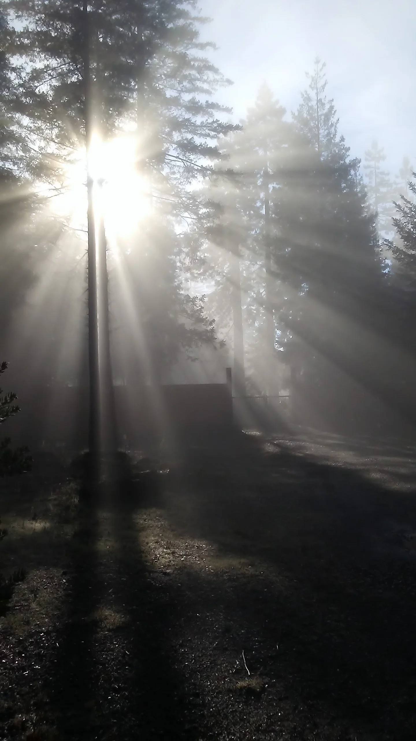  I have available one dozen treatments for original movie concepts.  Contact for NDA.  Over a dozen original treatments for Movies.  Please contact for NDA with proof of intent/investment  samsoncontompasis@gmail.com 