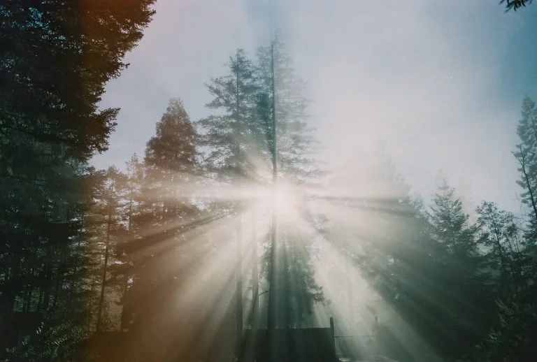 The Quality of Being Lost