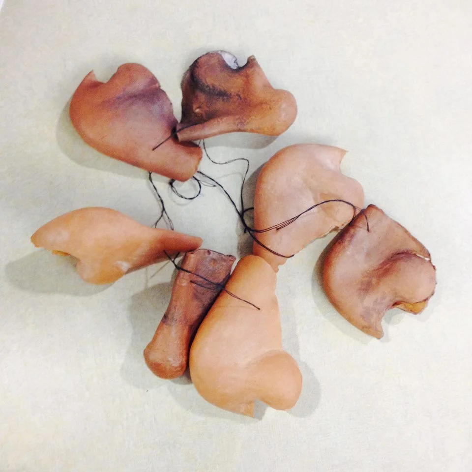 cyrano noses.jpg