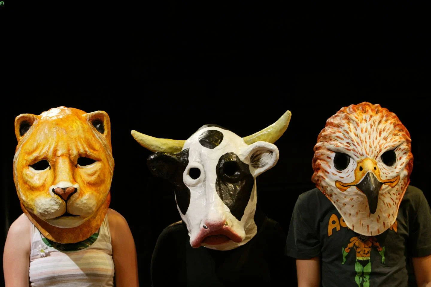  Painted these mascot heads for the production of Full Circle for MMNT.&nbsp;Paper mached by Tanya Olalde. 