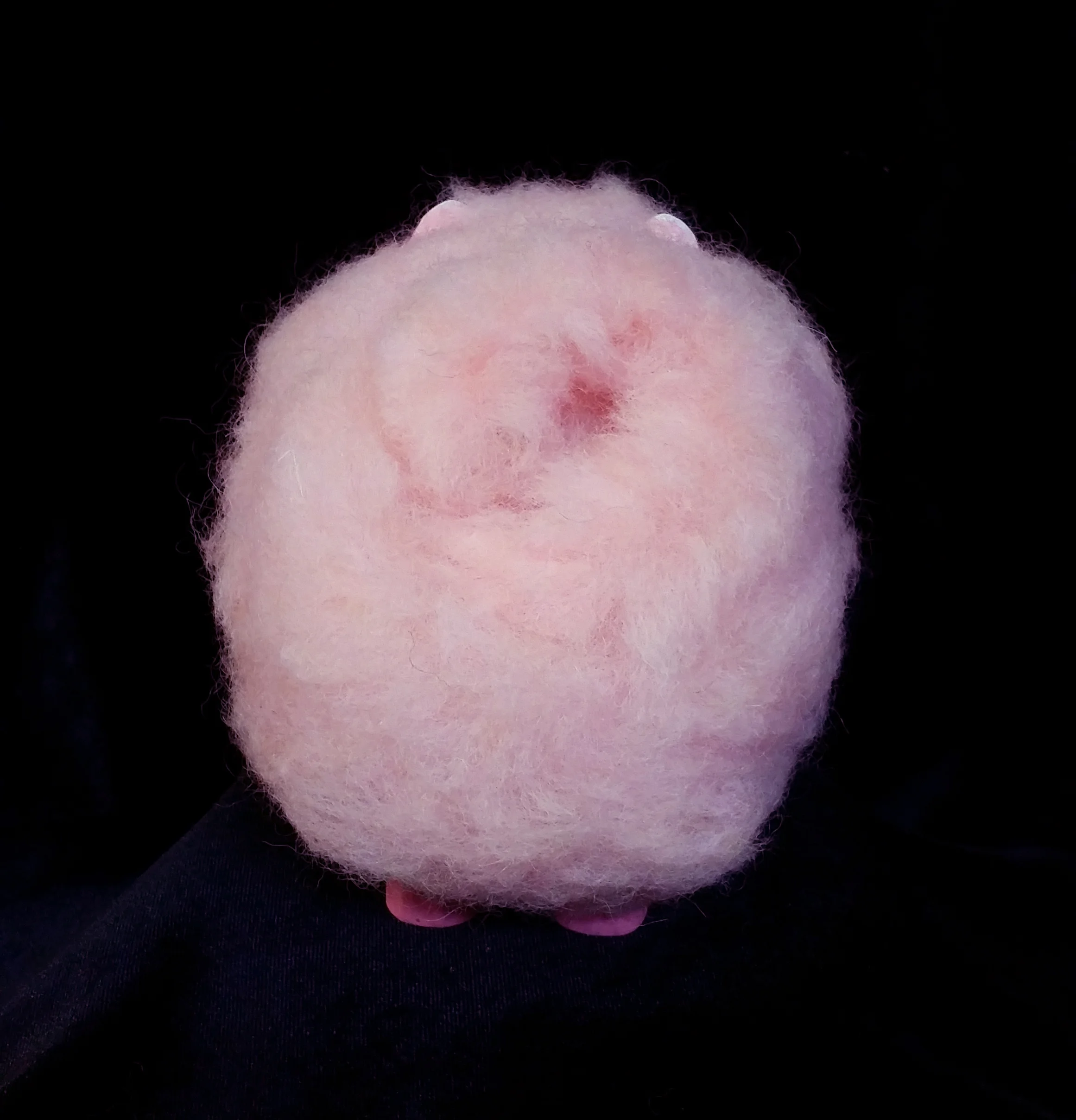 Meet Turbo! This is the smallest wooden sculpture that I've carved. She is a pink Pomeranian based off of my sister's real-life Pomeranian, Turbo Barbie. She is made from a single piece of basswood, and pink felt roving was used to create the fur. Her tail is made from a piece of wire with the roving sewn on to mock the true Pomeranian curly-q tail. ~ SOLD