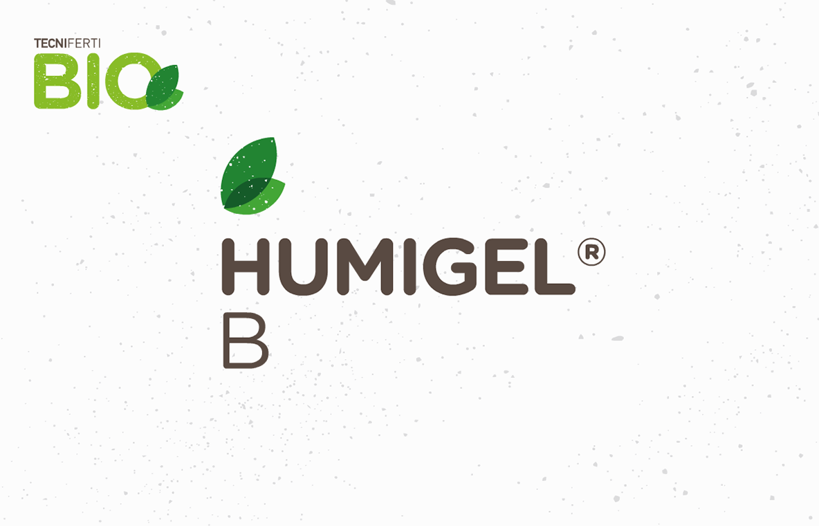 W_Fun_TECNIFERTIBIOanimation0102HUMIGELB.png