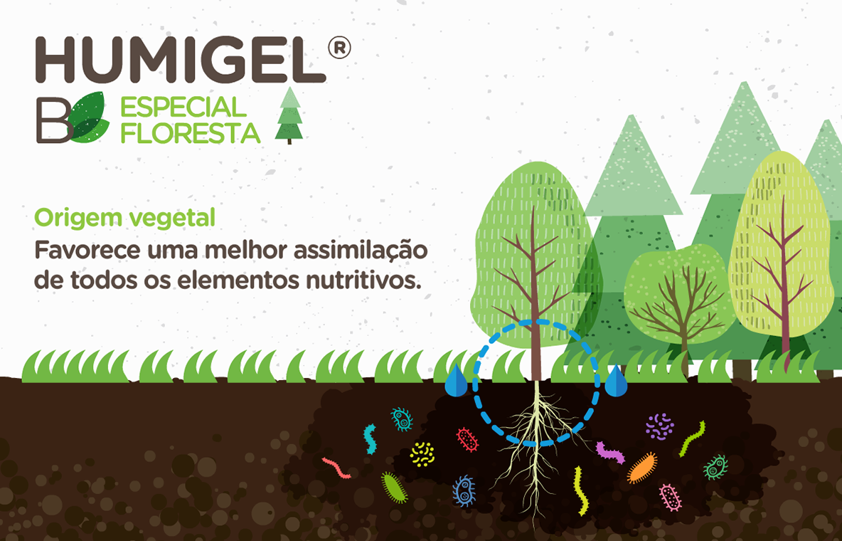 W_Fun_TECNIFERTIBIOanimations0153HUMIGELBforestspecialANDpremoseedmSTILL.png