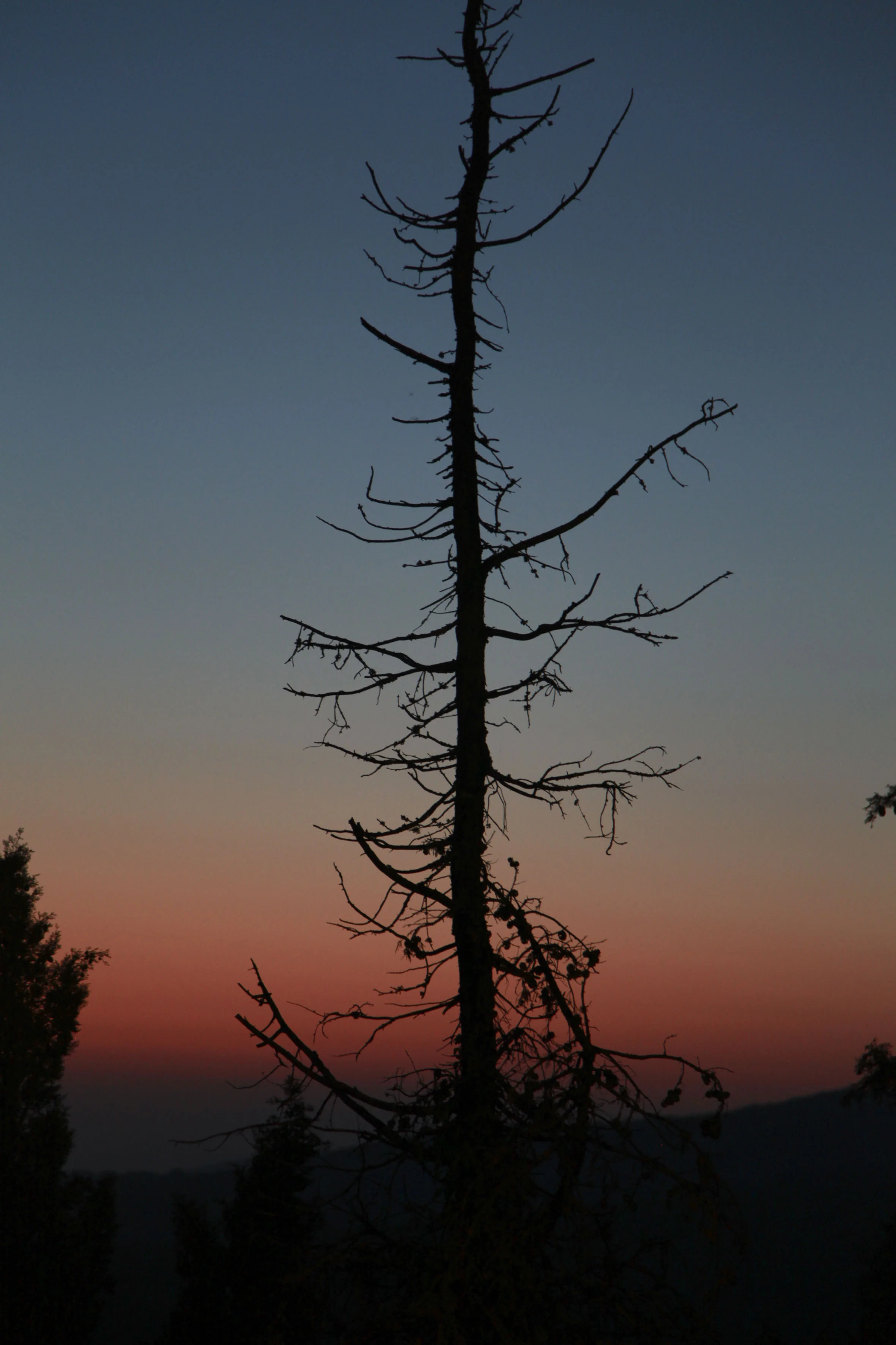 Horizontes-19.JPG