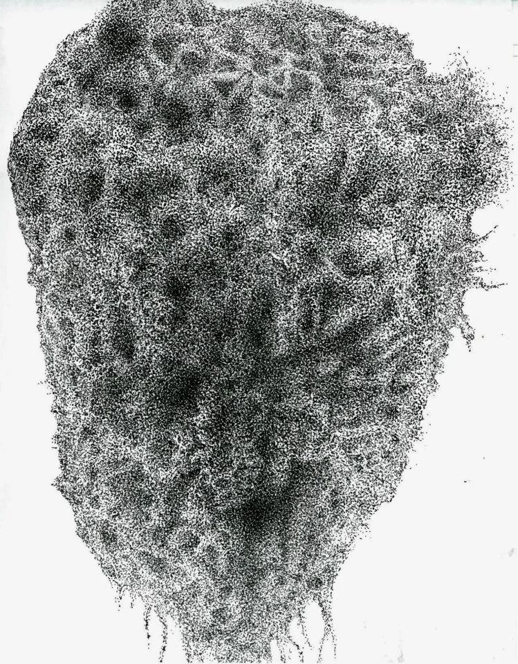 404623_10150467710692793_1319531011_n.jpg