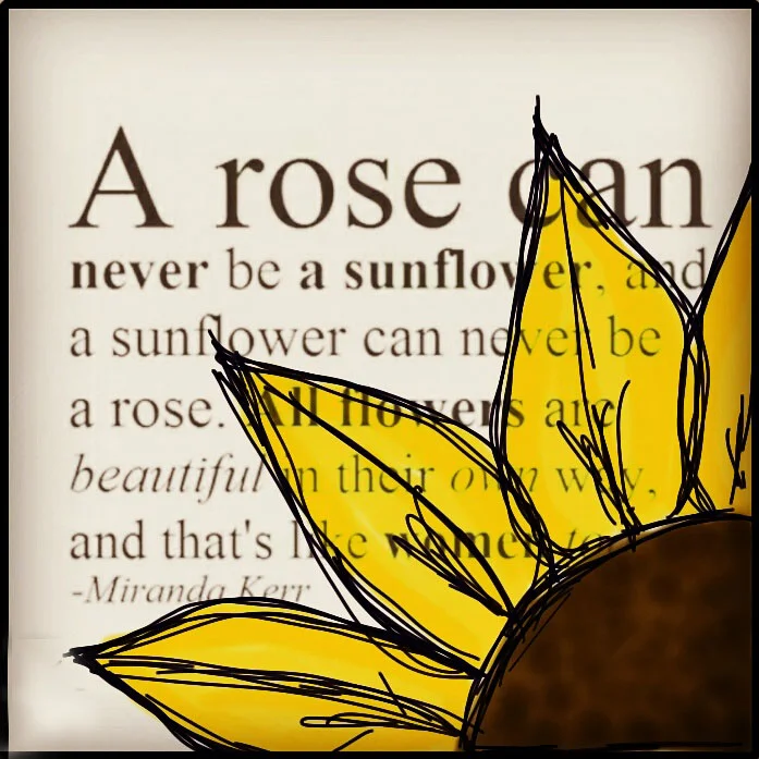 The Radiance of a Sunflower