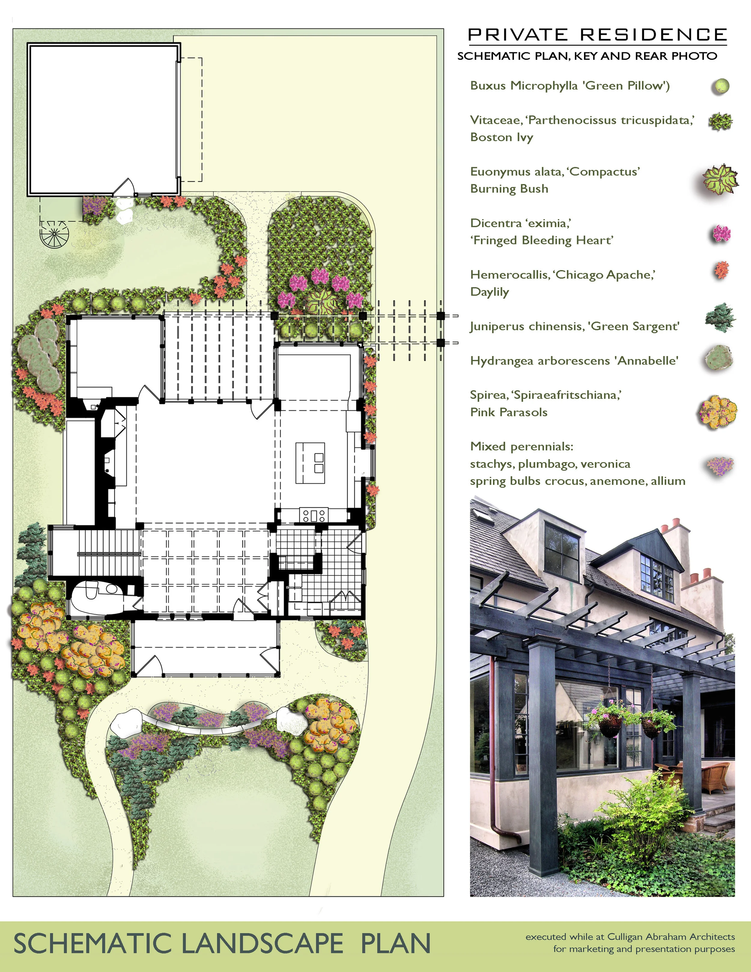 hinsdale house with plants.jpg