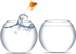 Make the transition to ICD-10 the easy way!