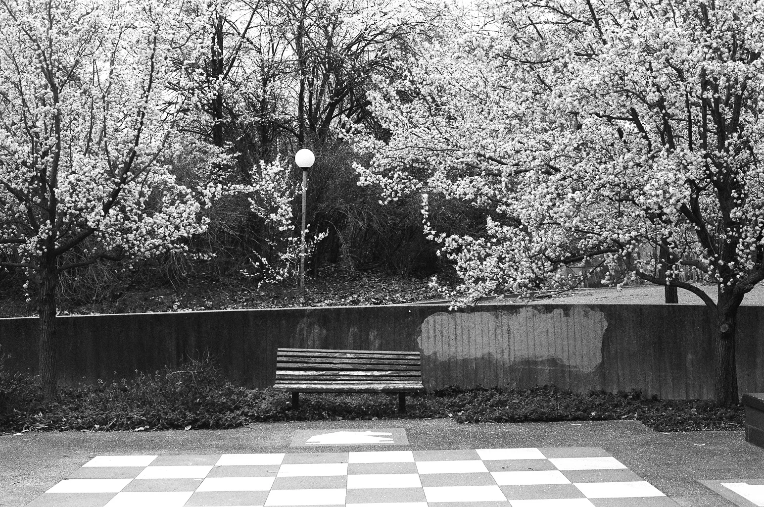 02010024.JPG