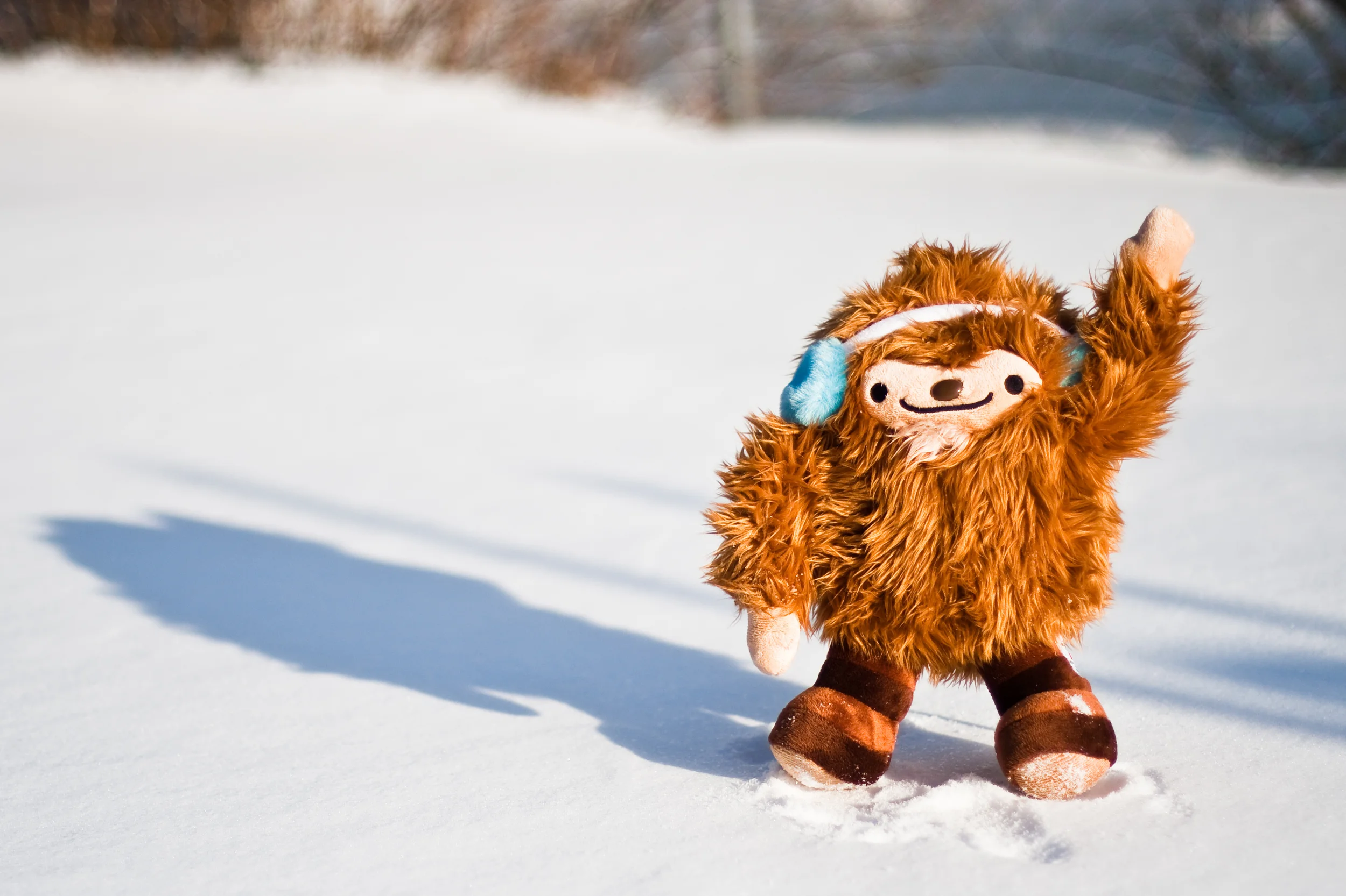 Time for a new Bigfoot?