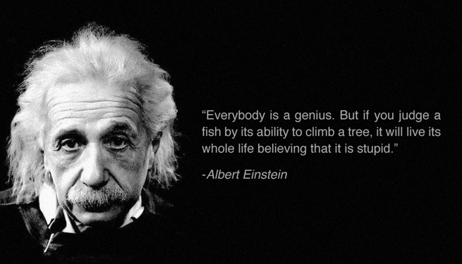 Einstein Quote on intelegence.png