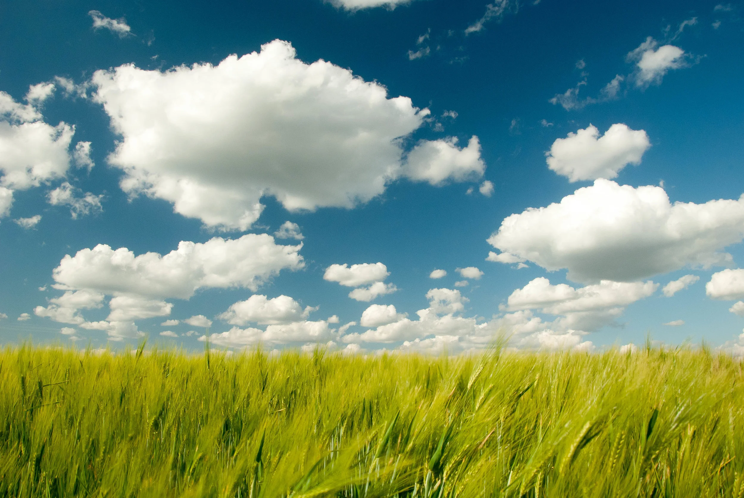 Clouds.jpg