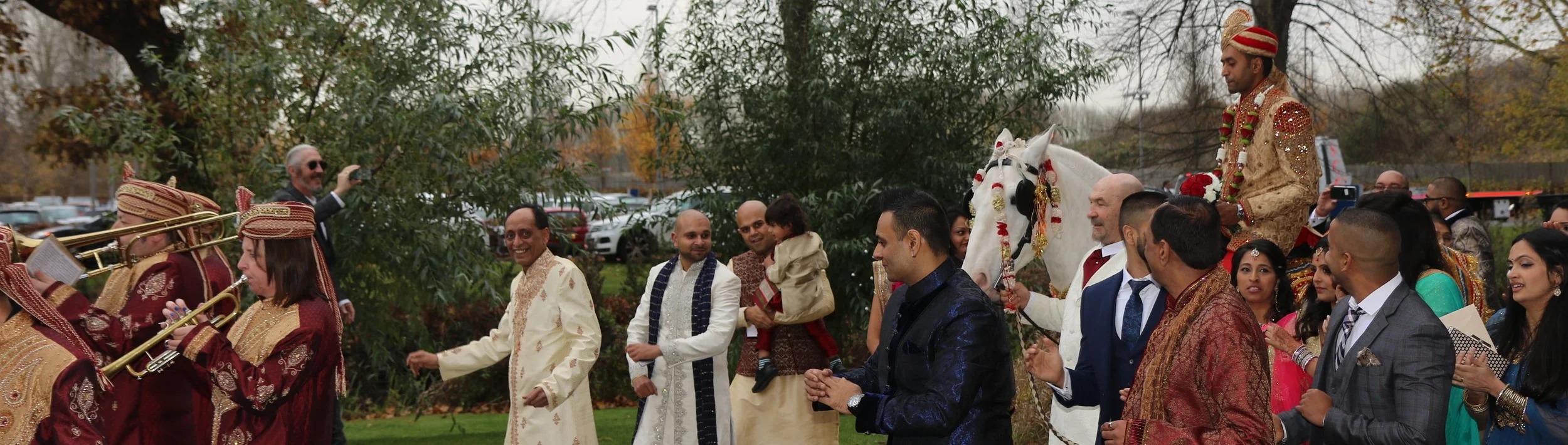 A Maharajah's Wedding