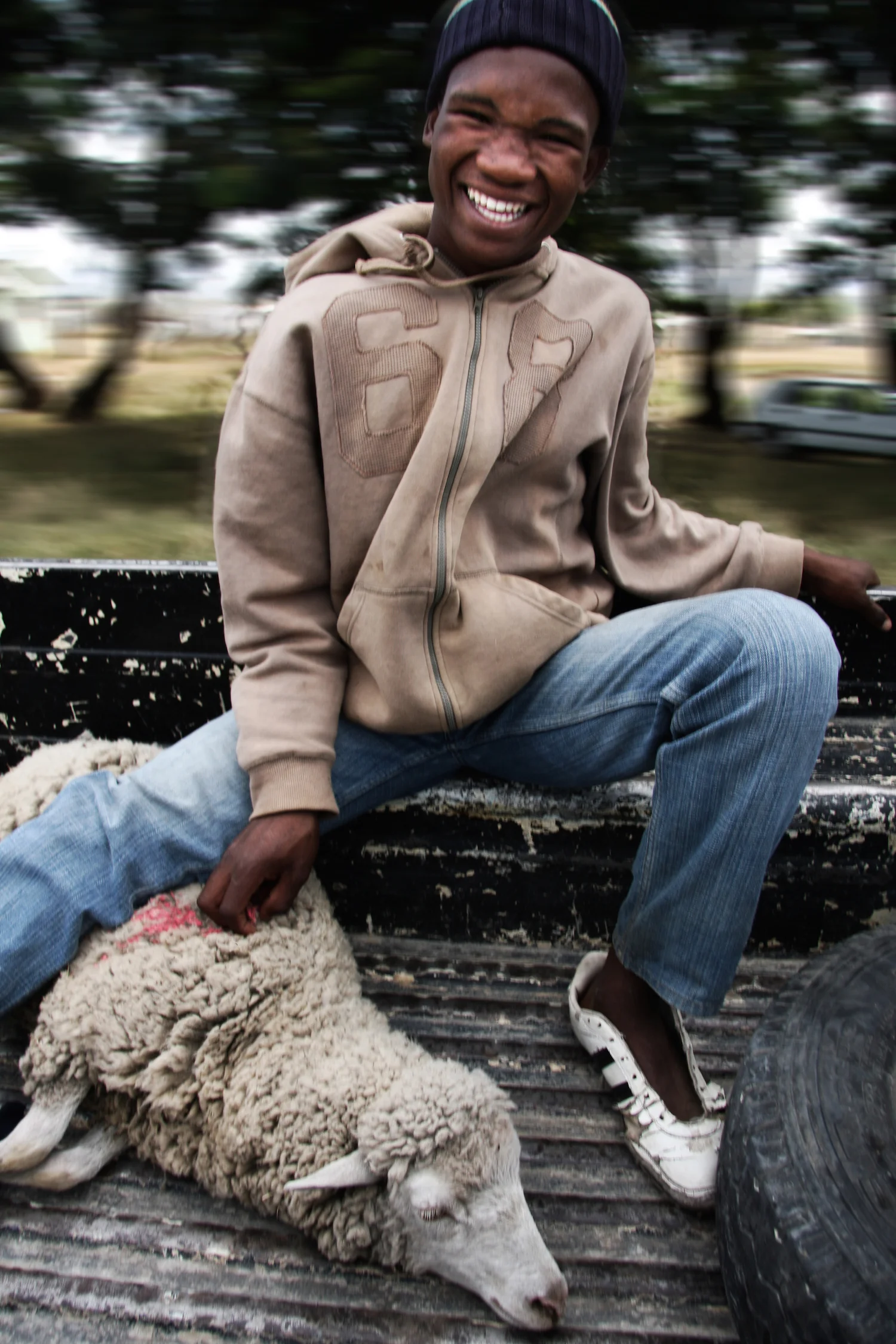 Sheep day 6 phot Nick Fletcher copy.jpg