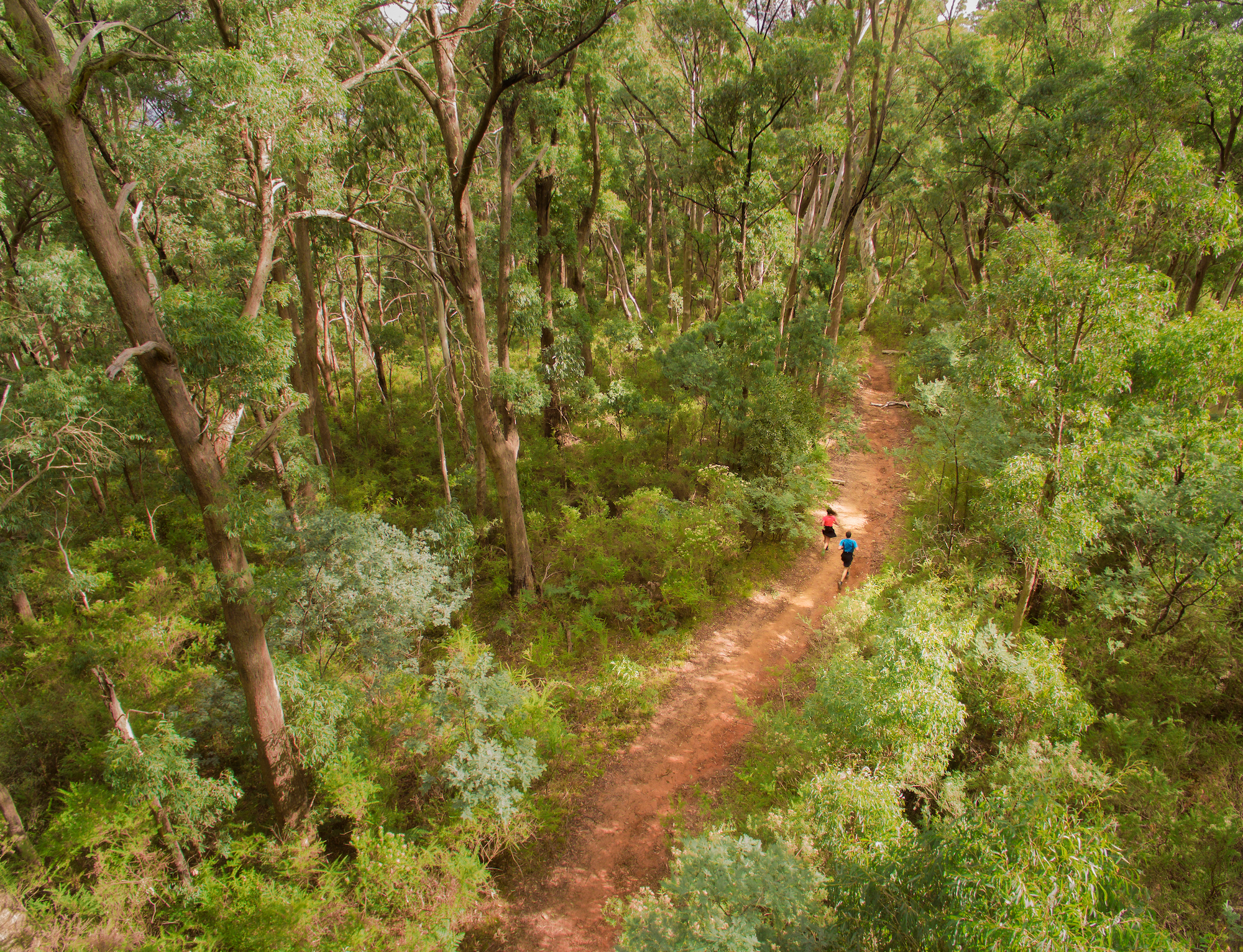 Timbertop Aerial Shots - THE RUN 2