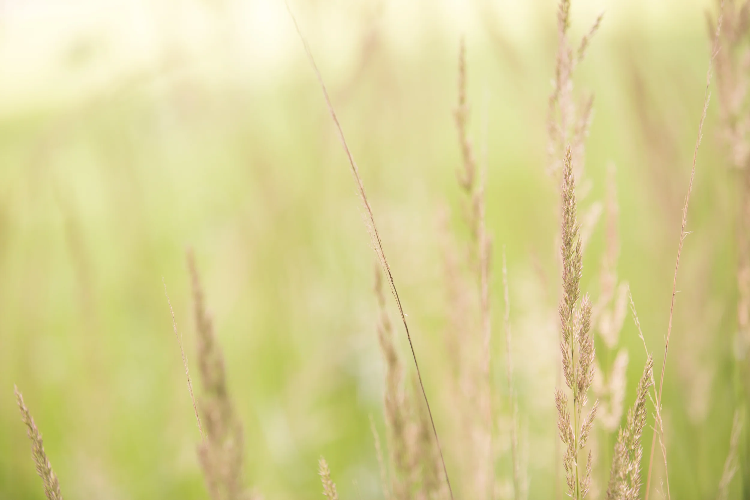 ABOUTReady to take the next step? Explore balance with our diagnostic tool