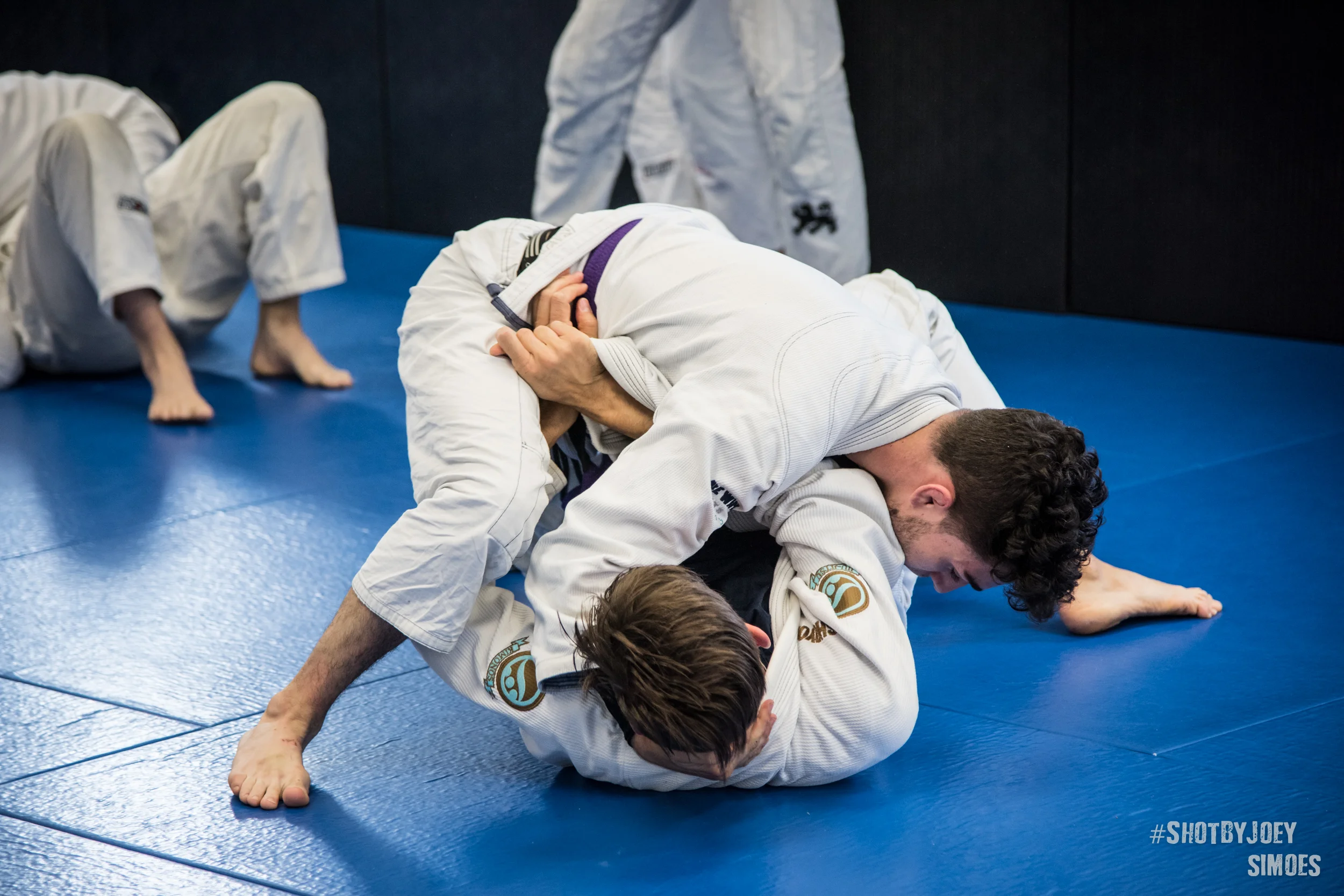 A Well-Rounded BJJ Plan