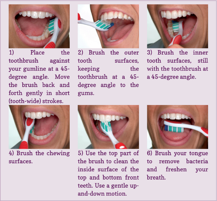 Proper Way To Brush Teeth And Gums TeethWalls