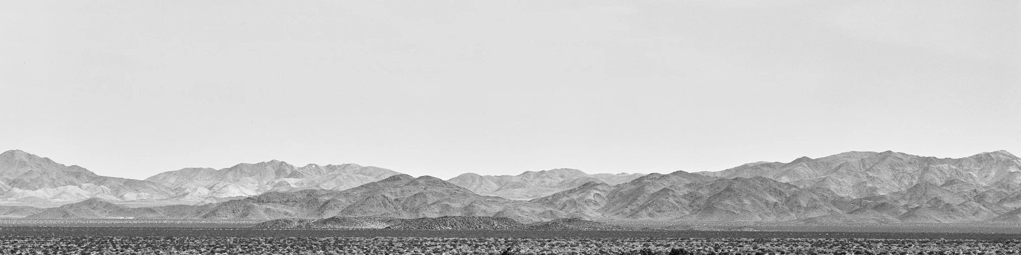 Gumaskas_Web_Res_josh tree148.JPG