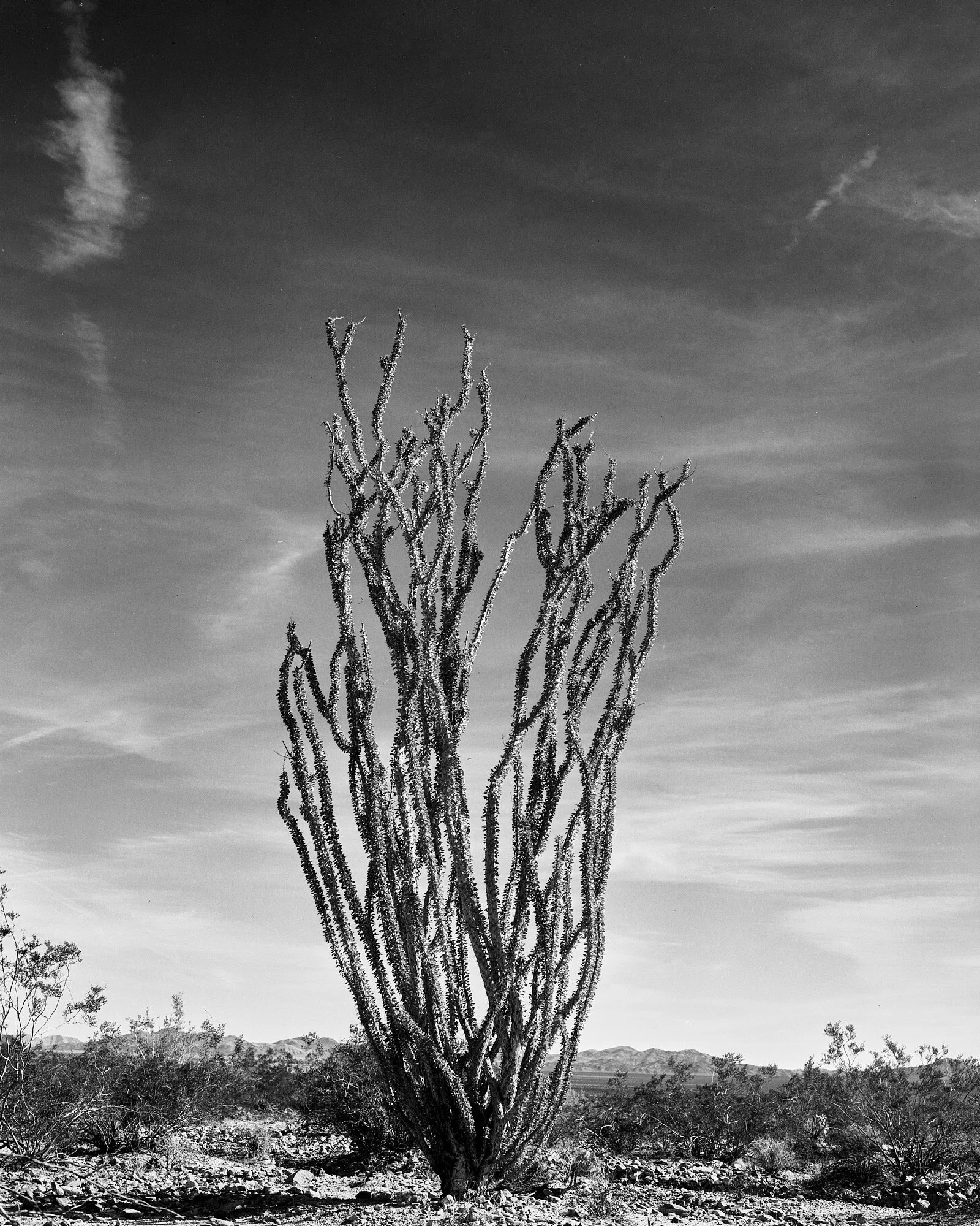 Gumaskas_Web_Res_Salton Sea132.JPG