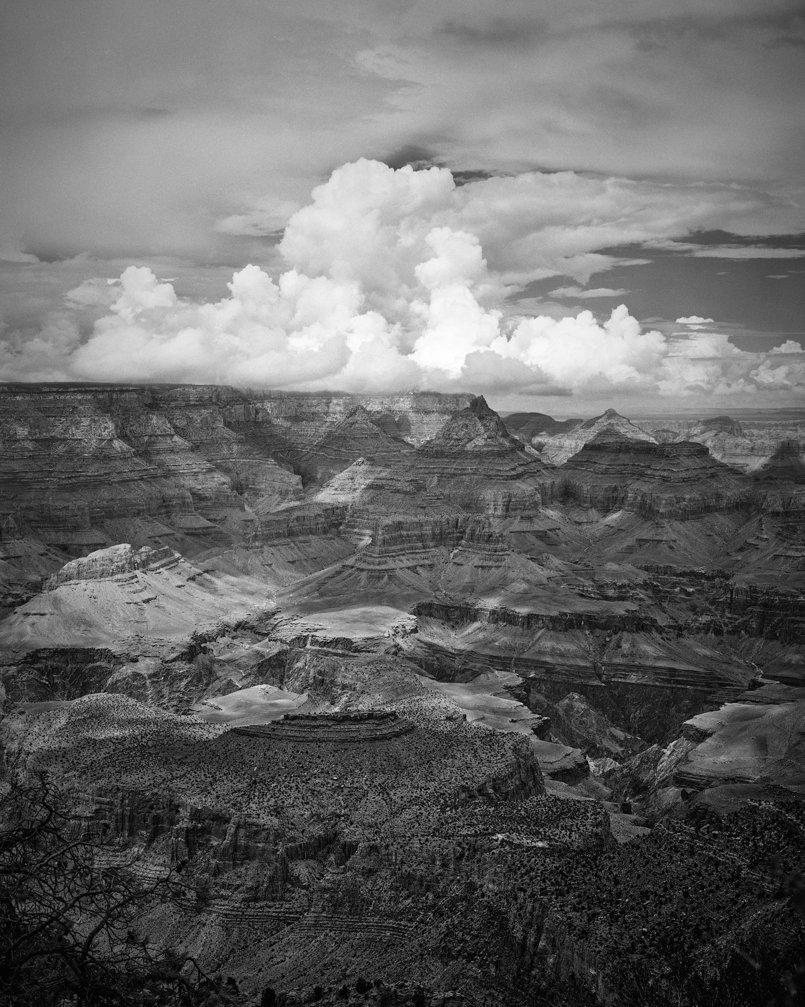 Web Res_GC2 3_1_Print 23x28.jpg