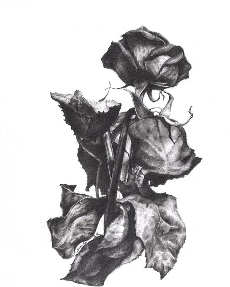 roses.jpg