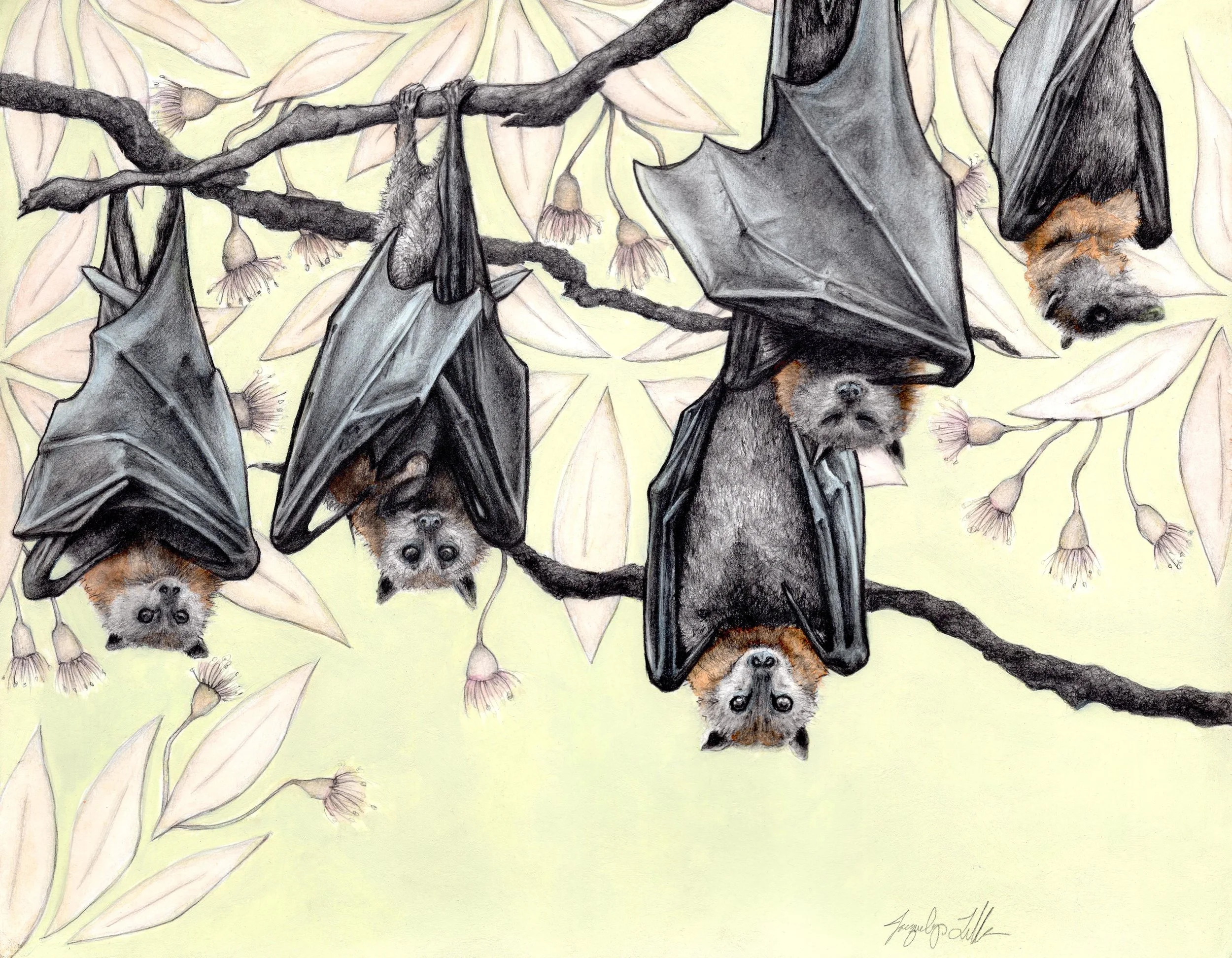 Bats 11x14.jpg