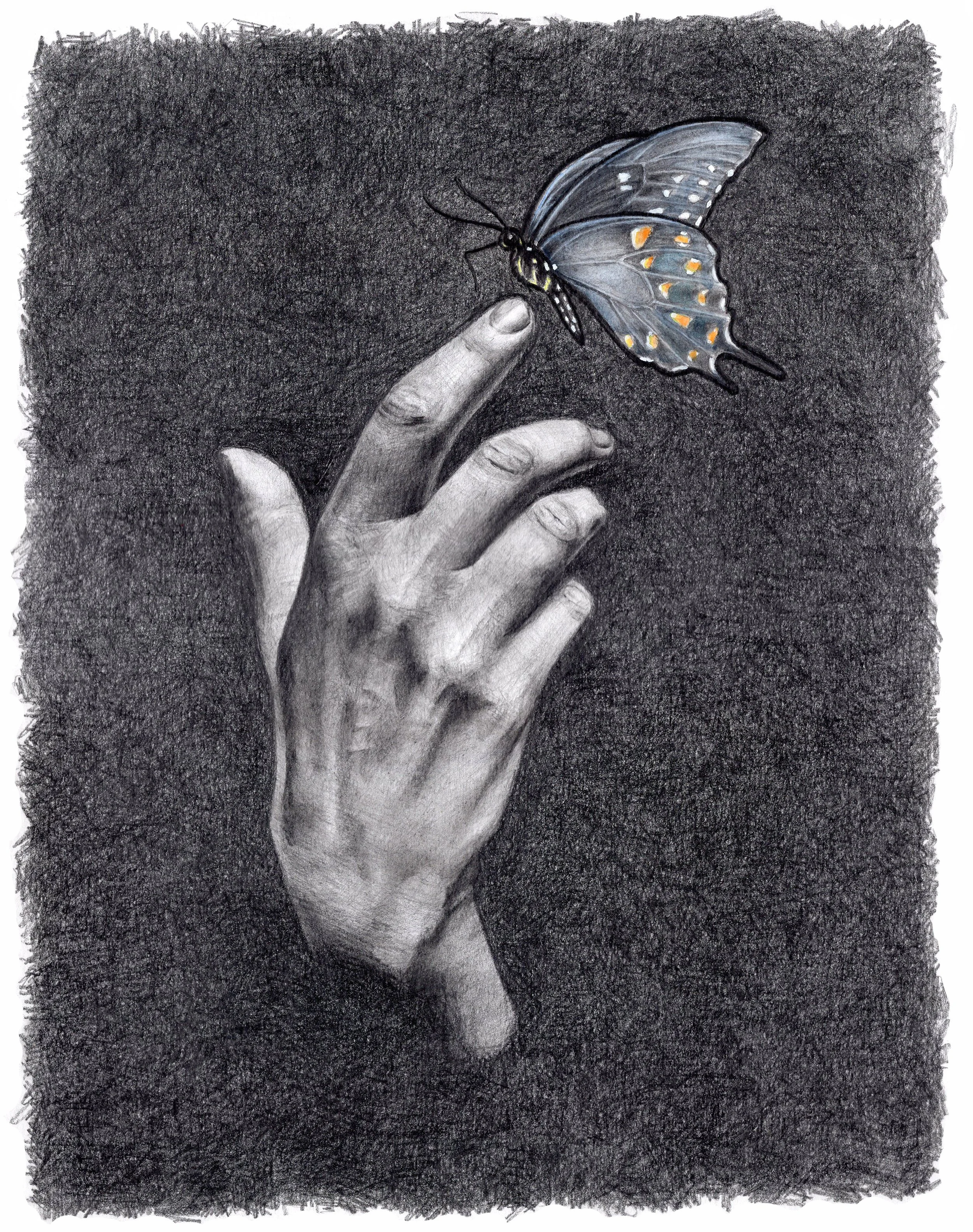 hand and butterfly.jpg