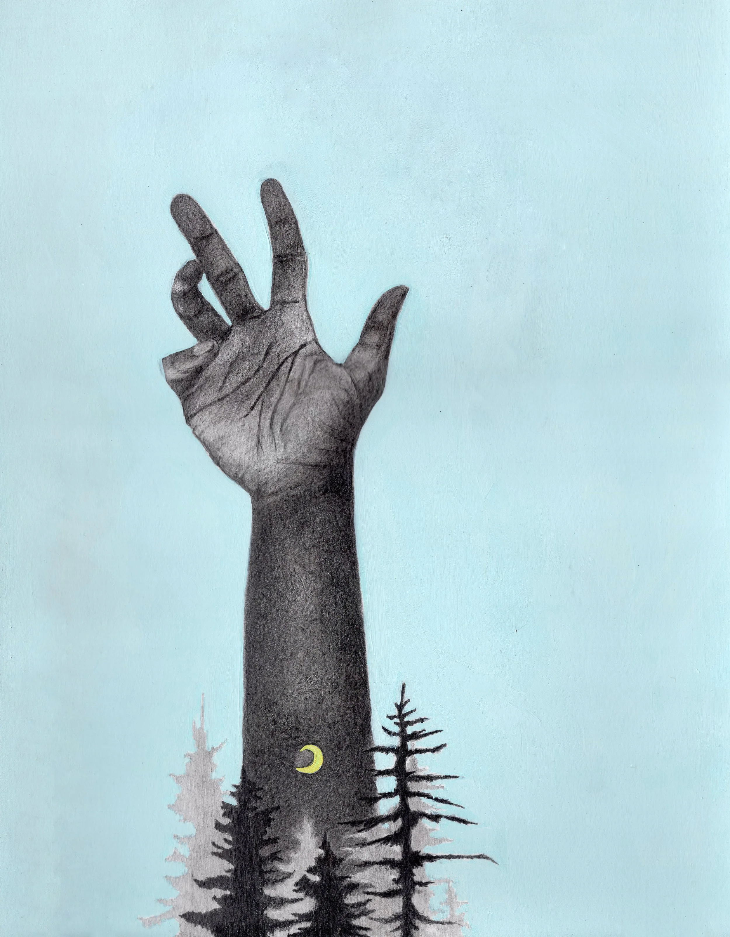 Hand and forest.jpg