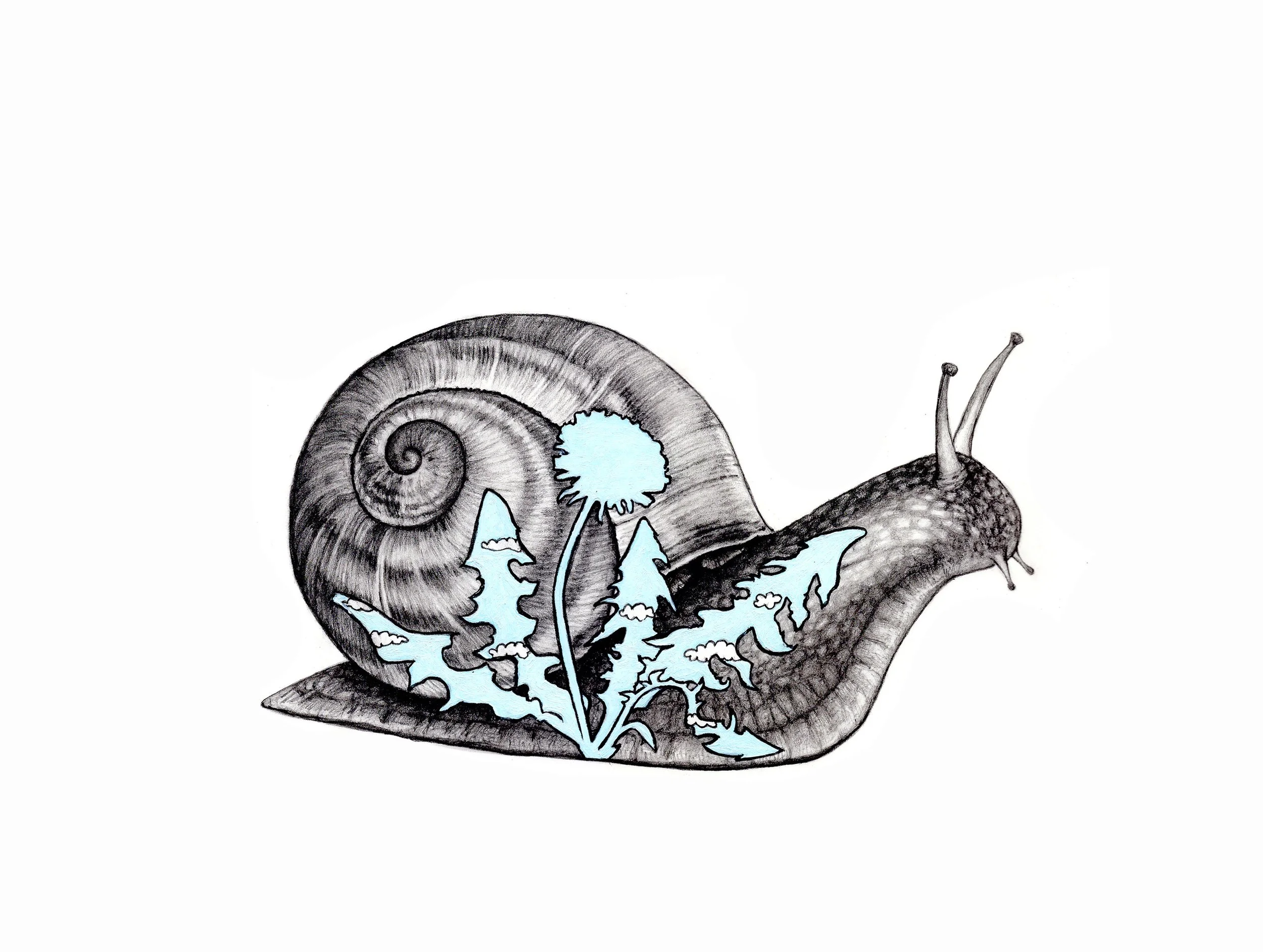 snail parade 11x14.jpg
