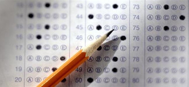 Quiz: Is Pizza Tree for you?!?!