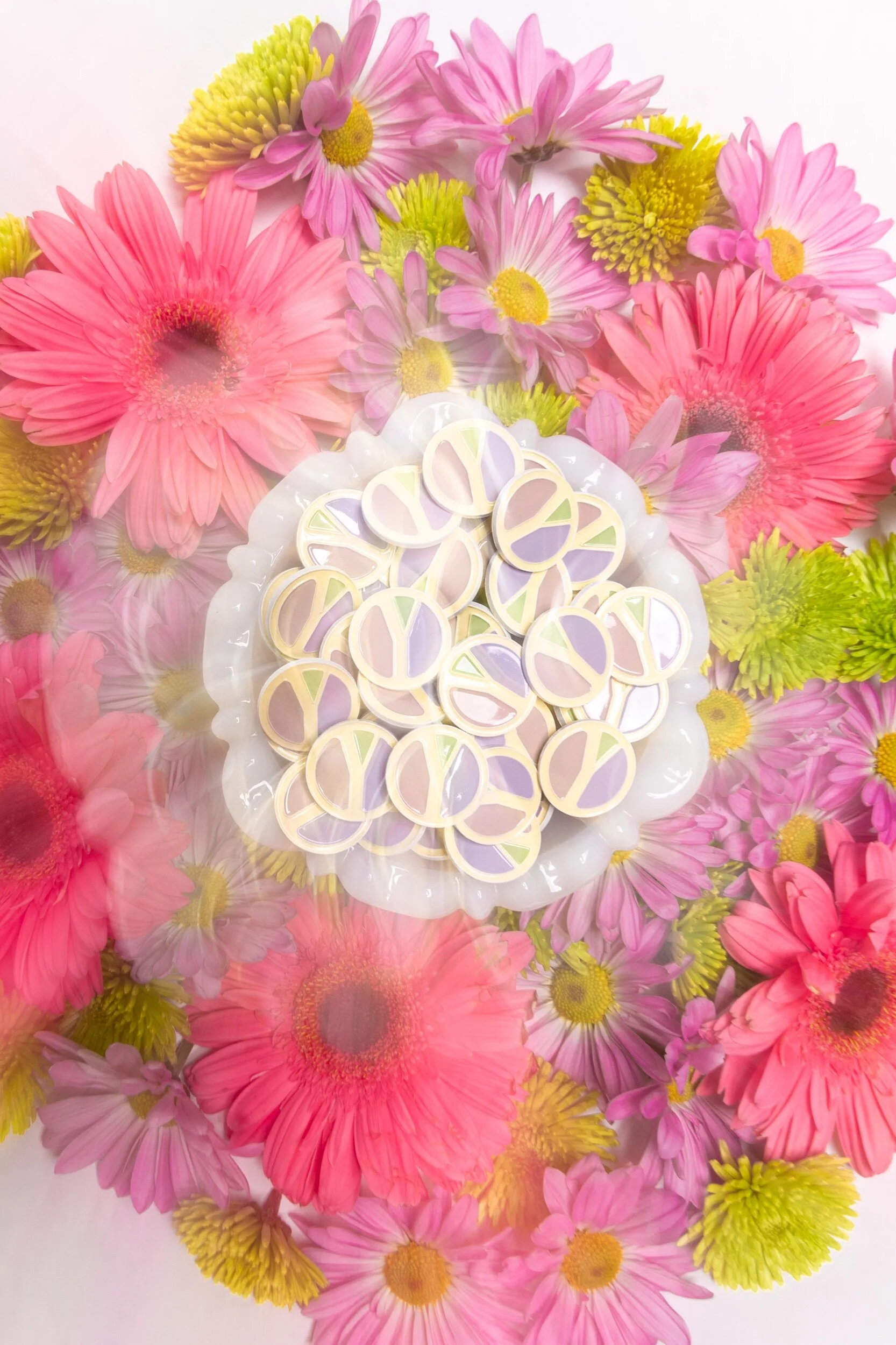 75FCBB8C-42C5-478B-B602-68AD0D5723B8