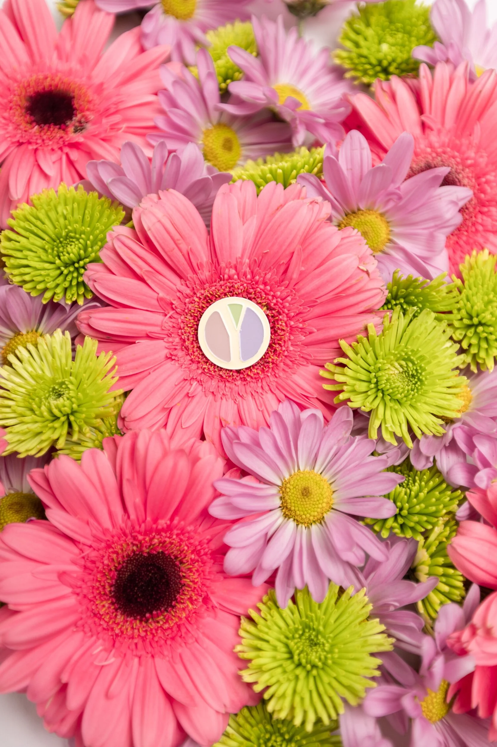 3894A71C-0DA3-42A0-A3B1-BDB2A8E2BA77