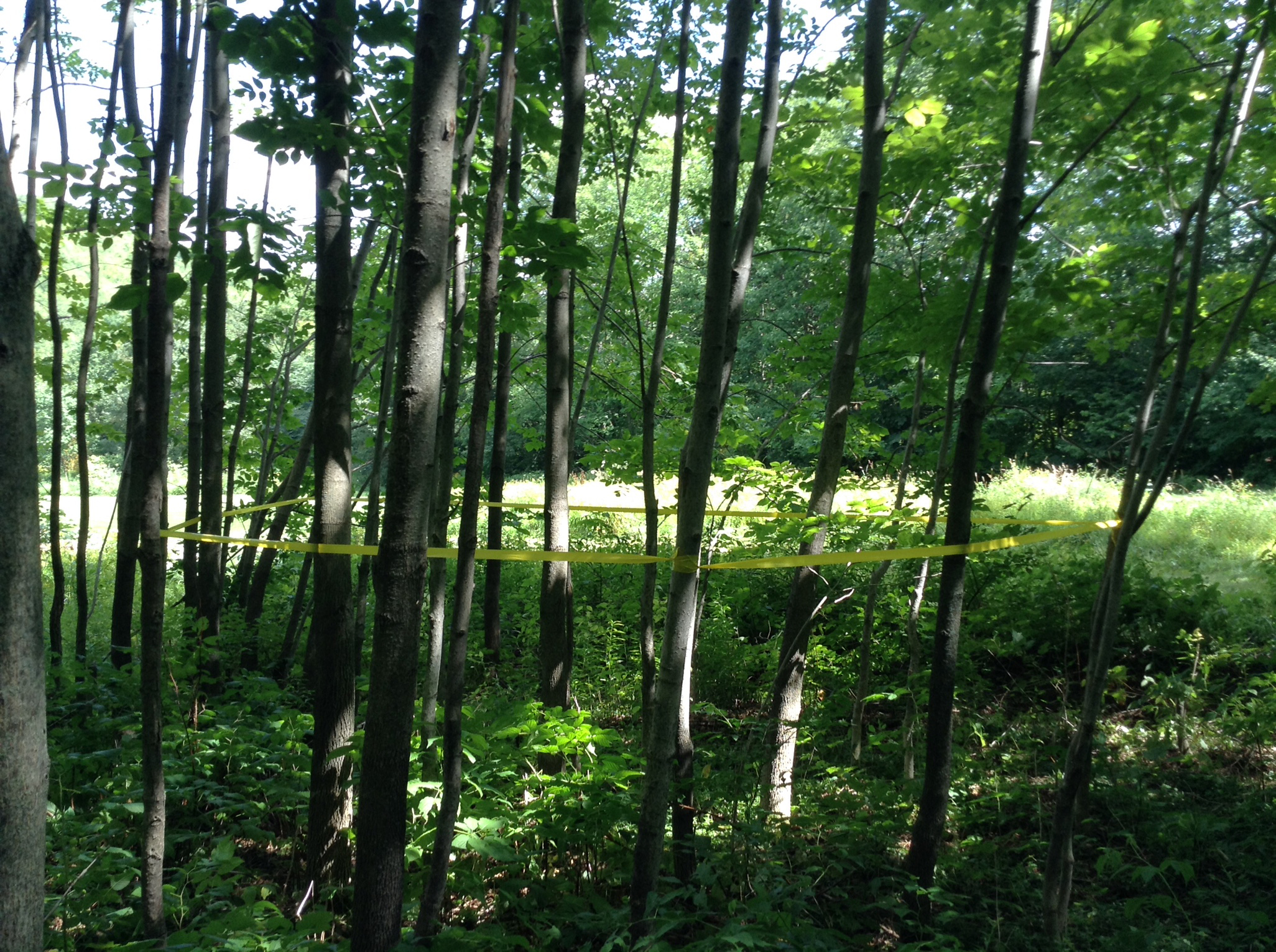 Boundary